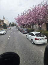 Фотография пользователя horwat1975