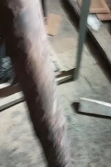 Benutzerfoto Lucio100