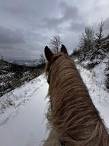 Foto utilizatorului ragnarokvikings2