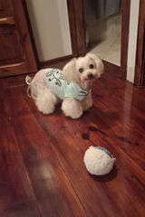 Фотография пользователя nataliap1984