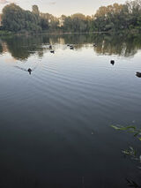 Benutzerfoto bylenieanal