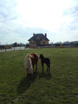 Фото користувача zaqkrzysiek33