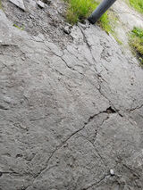 Zdjęcie użytkownika michal27280