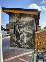 Foto utilizatorului waszuta