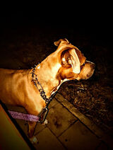 Zdjęcie użytkownika Wariacik1233