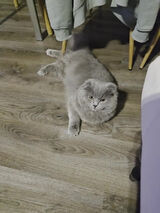 Benutzerfoto Habiera