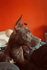 Zdjęcie użytkownika cichoszlukasz