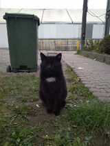 Benutzerfoto Marcin041200