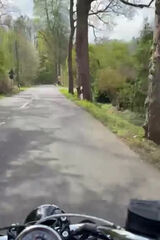 Zdjęcie użytkownika agnieszkanickel