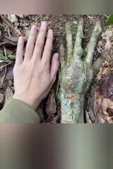 Фотография пользователя Wyjatkowy1987