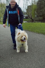 Фотография пользователя FaceToFace