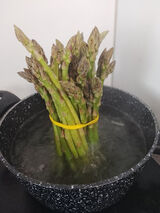 Benutzerfoto Kokos1990