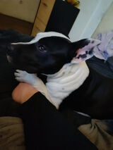 Fotka uživatele kadar0094