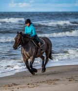 Zdjęcie użytkownika Tajemnicza55