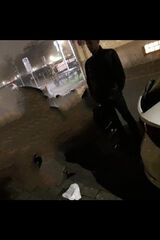 Фотография пользователя sebastianjaskols37