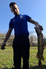 Фотография пользователя Gwizdone2001