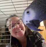 Zdjęcie użytkownika gerttymary