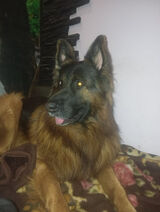 Fotos u4113712447