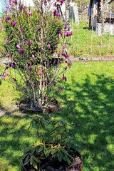 Zdjęcie użytkownika krzysztofkot1992