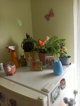 Фото користувача jozefjozeff60