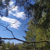 Фото користувача daromucha707