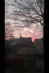 Photos Promarko