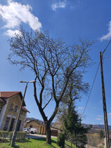 Фотография пользователя karolazieba1990