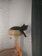 Foto pengguna AniaAnula1985