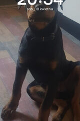 Benutzerfoto gronkowskawiktor70