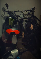 Zdjęcie użytkownika DuNiO51