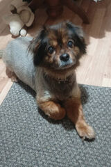 Zdjęcie użytkownika Ryszard05