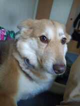 Zdjęcie użytkownika KrzysztofParkola1