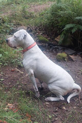 Fotka uživatele Helena2026