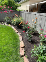 Fotos stevesantana553