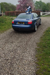 Zdjęcie użytkownika Matinl5961