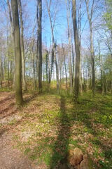 Benutzerfoto annajagoda90