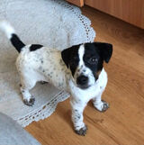 Zdjęcie użytkownika pistolss