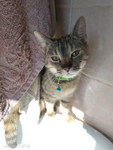 Benutzerfoto Daniellll1217