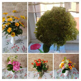 Zdjęcie użytkownika KarolaS2026