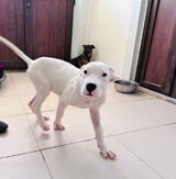 Foto pengguna quaitaallucyjoy