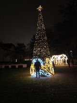 Фотография пользователя laskowskib756