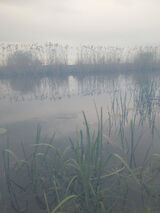 Фотография пользователя niktw1036