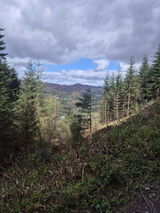 Zdjęcie użytkownika lucky19875