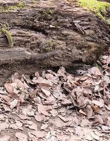 Фото користувача Xpr