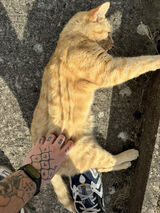 Zdjęcie użytkownika Adderall