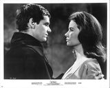 Benutzerfoto Nikog93