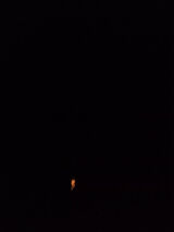 Foto pengguna Ellllllla