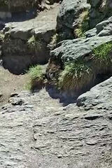 Zdjęcie użytkownika grzegorzpawlikow96