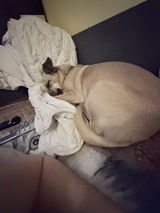 Zdjęcie użytkownika Patrykn178