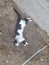 Zdjęcie użytkownika Cosnowego30